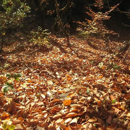 Herberg Oikia Alexandrou Traditional 3*
