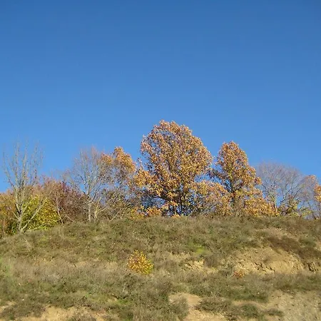 Herberg Oikia Alexandrou Traditional