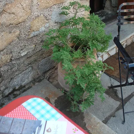 Oikia Alexandrou Traditional