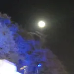 Oikia Alexandrou Traditional