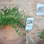 Oikia Alexandrou Traditional