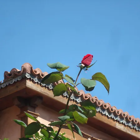 بيت ريفي Oikia Alexandrou Traditional أرنايا