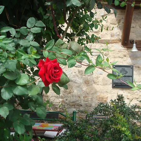 Oikia Alexandrou Traditional أرنايا