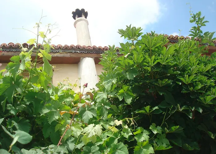 بيت ريفي Oikia Alexandrou Traditional أرنايا